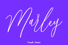 Marley -Female Name Cursive Calligraphy Text On Purple Background