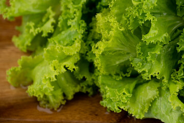 Green lettuce leaves lush with water drop on leaf on chopper board