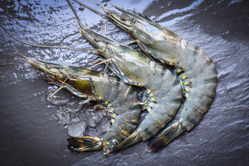 Wall Mural - Raw shrimps prawns on dark plate background, Fresh Black Tiger Shrimp.