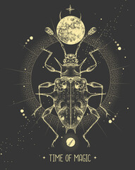 Wall Mural - Modern magic witchcraft card with moon and Endomychidae beetle. Hand drawing occult vector illustration