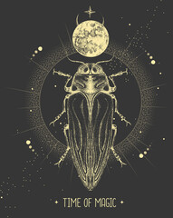 Wall Mural - Modern magic witchcraft card with moon and Belionota tricolor beetle. Hand drawing occult vector illustration