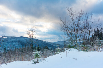 Wall Mural - winter, active vacation in the carpathians with picturesque houses and lots of snow.