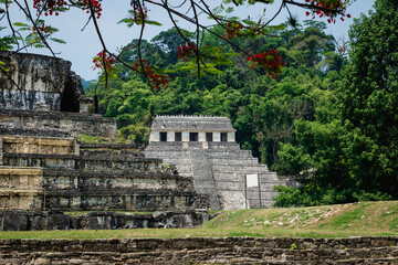 Wall Mural - Temple of the inscriptions and temple under orange blossoms at the archaeological Mayan site in Palenque, Chiapas, Mexico