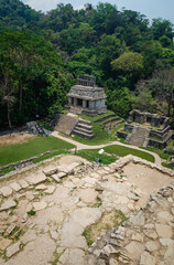 Wall Mural - Aerial view from the temple of the sun at archaeological site in Palenque, Chiapas, Mexico