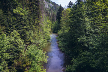 Sticker - River Hornad in Slovak Paradise mountain range in Slovakia