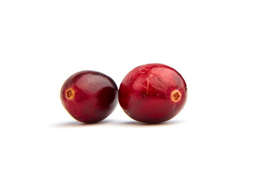 Wall Mural - Fresh cranberries isolated on white background