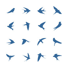 Set Of Swallow Logo Vector Template, Creative Swallow Logo Design Concepts, Icon Symbol, Illustration