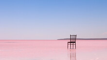 A Chair With No People On The Pink Water Of Salt Lake In Front Of A Minimalist Background