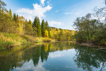 Wall Mural - autumn forest trees are reflected in the river water of the panoramic landscape. blue sky with cloud