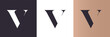 V letter logo template. Minimalistic monogram. Personal logo. Vector design.