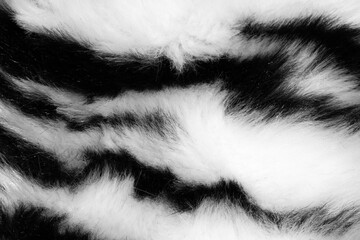 Poster - fur with black white stripes. background for design