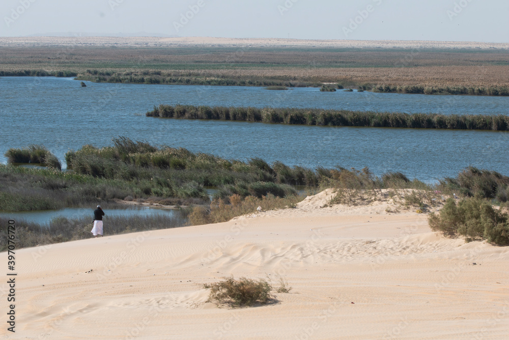Emran Saudi Stockfoto Lake Asfar is a lake located in Al-Omran, east of Al-Ahsa ...