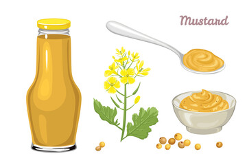 Wall Mural - Mustard sauce set. Yellow flower, grains, mustard in a metal spoon, glass jar and bowl isolated on white background. Vector illustration of hot seasoning in cartoon flat style.