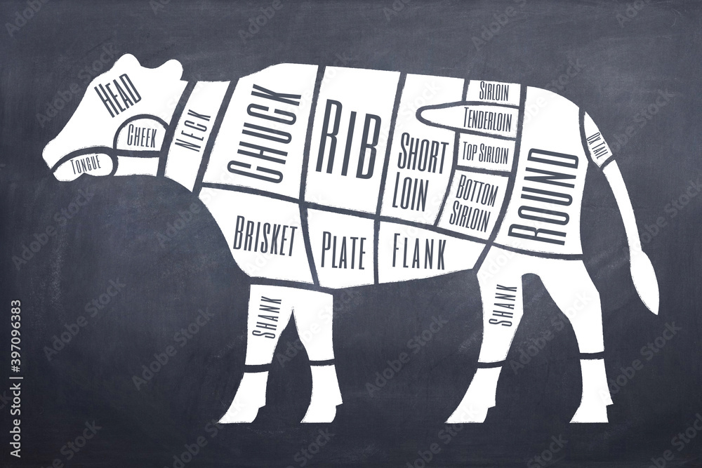 Understanding the different parts and cuts of beef Stock Illustration ...