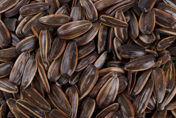 organic sunflower seed for background uses