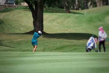 Wall Mural - person playing golf