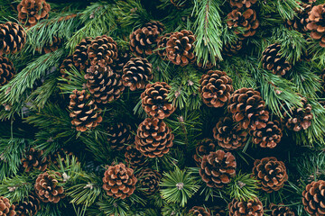 Wall Mural - Simple Christmas decoration - pine branches with natural pine. Environment, recycle and zero waste concept. Selective focus, copy space