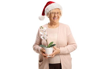 Poster - Mature woman holding a white orchid and wearing santa claus hat