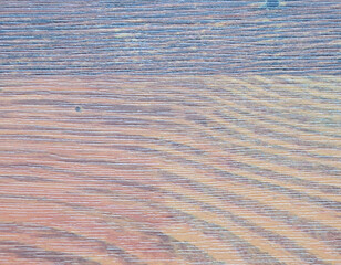 A fragment of natural wood with a dark tinted top edge, close-up of a flat surface.