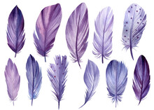 Set Of Watercolor Violet Feathers On A White Background