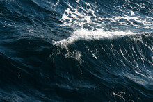 White Crest Of A Sea Wave. Selective Focus. Shallow Depth Of Field
