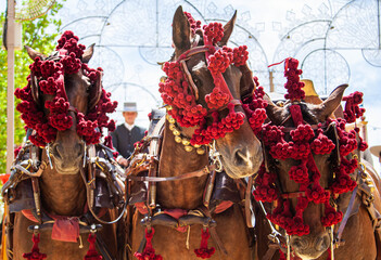 Tres caballos andaluces en la Feria del Caballo, Jerez de la Frontera