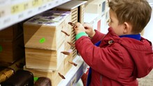 Portrait Of A Little Boy In The Store. The Kid Opens A Wooden Box And Looks Into It. Little Byer Concept.