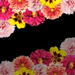 Fotomurales - Beautiful floral background of dahlias, marigolds and carnations. Isolated