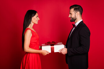 Poster - Profile photo of nice optimistic couple give present wear suit dress isolated on red color background