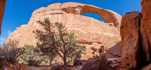 Wall Mural - Panoramic picture of natural and geological wonders of Arches national park in Utah