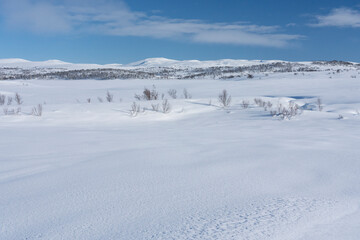 Wall Mural - Winter landscapes from Holtaalen, Norway.