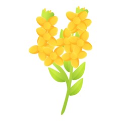 Poster - Jojoba flower icon. Cartoon of jojoba flower vector icon for web design isolated on white background