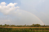 Fototapeta Tęcza - Rainbow after the rain.