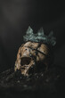 © Federico Gonzalo/ADDICTIVE STOCK - Spooky human skeleton skull with weathered crown placed on pile of ash against black background