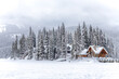© Jan Becke/ADDICTIVE STOCK - Picturesque winter landscape of snowy valley with wooden house surrounded by coniferous woods and rocky mountains under cloudy sky