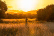 © Javier De La Torre/ADDICTIVE STOCK - Side view of unrecognizable sportsman with naked torso running along dry meadow in countryside during cardio training at sundown in summer
