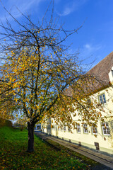 Wall Mural - Kloster Reichenau