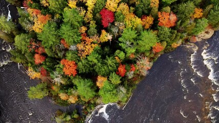 Wall Mural - aerial fly over above the tree covered island in the middle of the tahquamenon river after it forks 