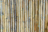 Fototapeta Dziecięca - dry bamboo hand made texture background wall