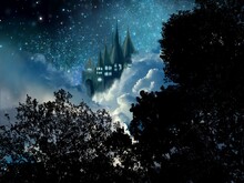 The Silhouette Of European Beautiful Castle In Starry Night Sky Background	
