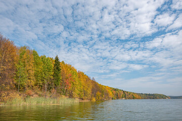 Wall Mural - autumn forest trees are reflected in the river water of the panoramic landscape. blue sky with cloud