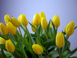 Fototapeta Tulipany - Bouquet of yellow tulips
