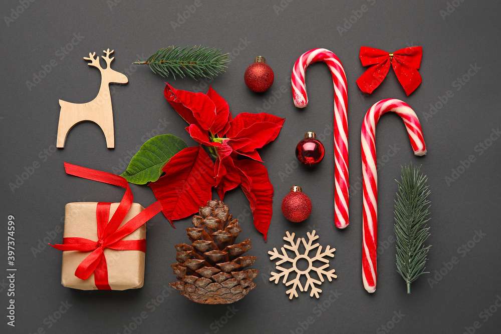 Composition with flowers of Christmas plant poinsettia on dark background
