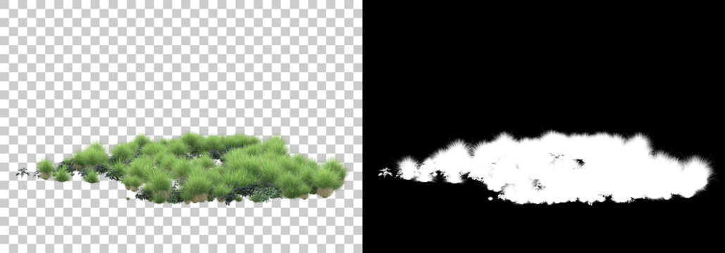 Green surface covered with wild grass and flowers isolated on background with mask. 3d rendering - illustration
