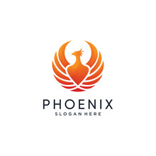 Phoenix Logo With Modern Gradient Style, Wing, Eagle,concept, Premium Vector