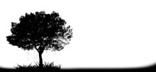 Abstract Silhouette Tree On White Background