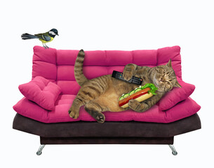 A beige lazy cat with a tv remote control is lying on a pink divan and eating a hot dog. White background. Isolated.