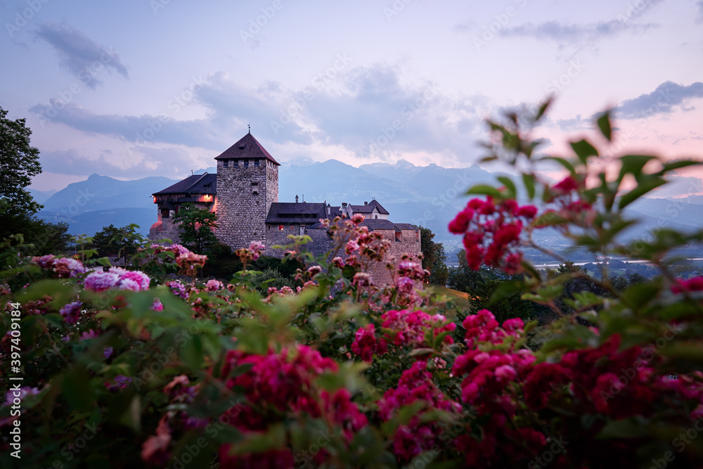 Obraz na płótnie Vaduz Royal castle in Liechtenstein. Scenic landscape of old medieval castle in Alps mountains in summer. Beautiful view of Alpine nature. w salonie