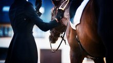 A Rider In A Dark Suit And Gloves Adjusts The Stirrup On The Saddle, Put On A Strong Bay Horse. Equestrian Sport. Horseback Riding. Dressage.