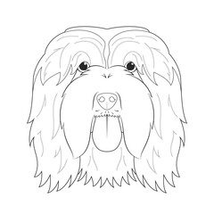 Wall Mural - Bearded Collie dog easy coloring cartoon vector illustration. Isolated on white background